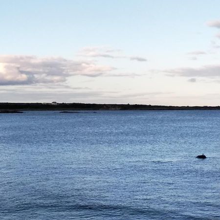 Fishermans Cottage Killough Buitenkant foto